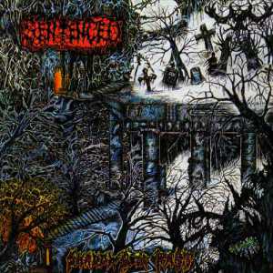 Sentenced - shadows of past (snow clear vinyl), LP Sentenced - shadows of past (snow clear vinyl), LP